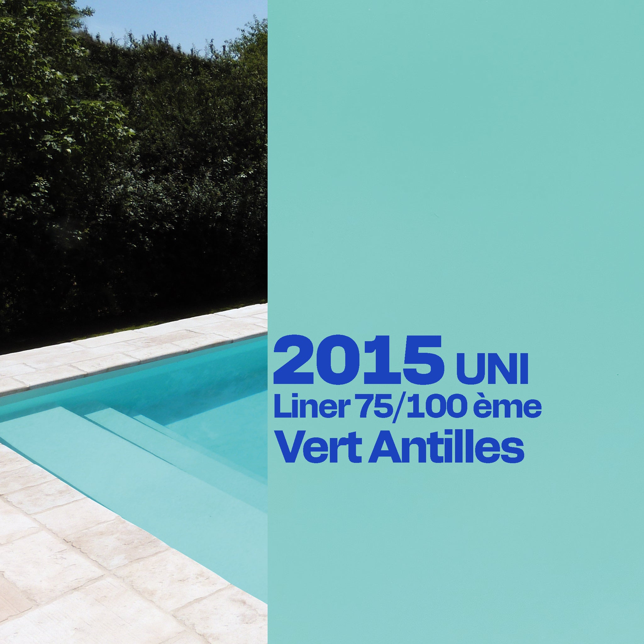 Liner Dreamliner 2015 verni piscine sur mesure vert Antilles 