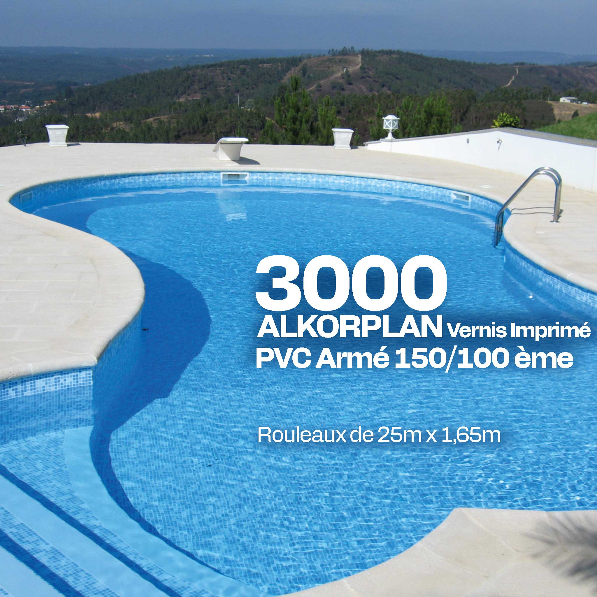 PVC armé Alkorplan 3000 imprimé piscine 1,65 m x 25 m