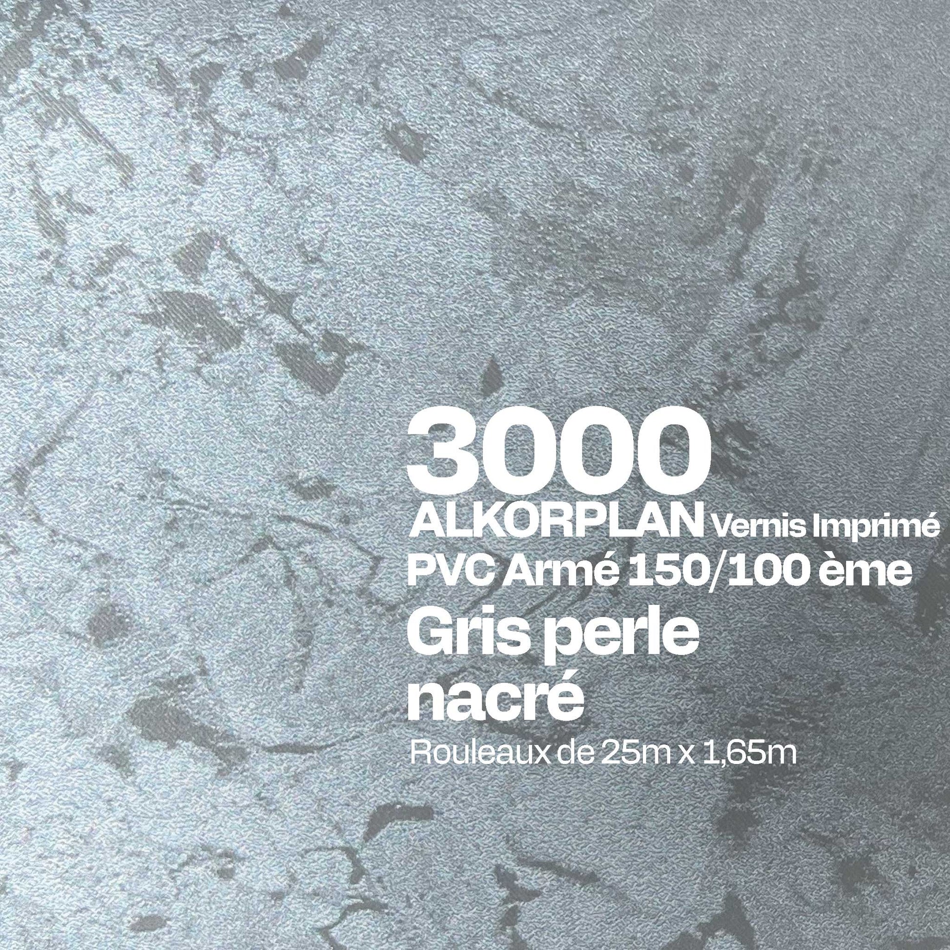 PVC armé Alkorplan 3000 imprimé piscine 1,65 m x 25 m gris perlé